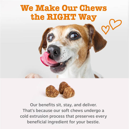 3 50ct Zesty Paws Dog Multivitamin, Chewable Dog Vitamins and Supplements for Hip & Joints, Skin & Coat, Omega Fish Oil