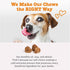 3 50ct Zesty Paws Dog Multivitamin, Chewable Dog Vitamins and Supplements for Hip & Joints, Skin & Coat, Omega Fish Oil