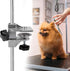 EVTSCAN Pet Grooming Table Arm H Bar Clamp Holder for Dog Grooming Table, Metal Clamp Clip Holder (2.3 * 2.3cm)