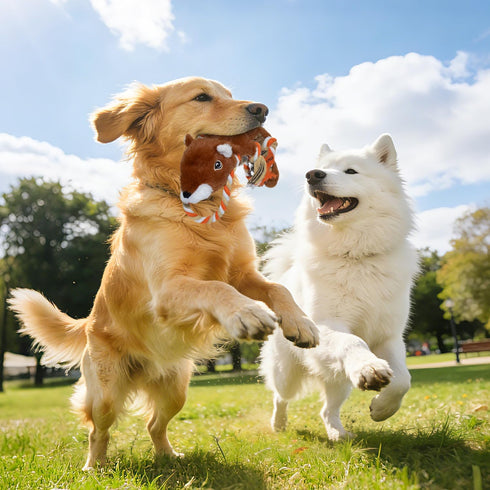 MAOOOOB 5-Pack Dog Squeaky Toys, No Stuffing Dog Toys, Crinkle Plush Dog Toys to Keep Them Busy, Rope Dog Toys for Tug