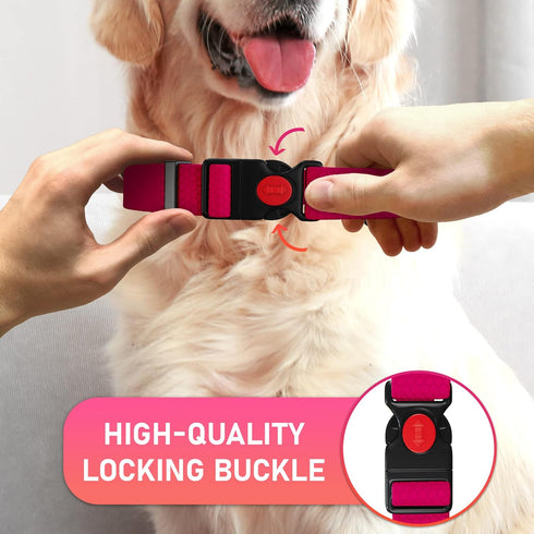 Adjustable Dog Collar with Safety Lock Buckle - Made in USA, Honeycomb Waterproof Heavy Duty Collar for Medium Large
