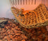 Tfwadmx 2 Pack Bearded Dragon Hammock, Reptile Climbing Decor, 100% Natural Seagrass Fabric for Reptiles