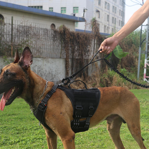 ICEFANG Tactical Dog Leash, K9 Training Bungee Lead with 2 Control Handles for Medium Large Dogs