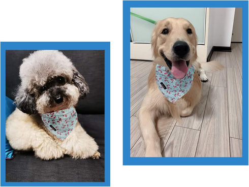 ARING PET Summer Dog Bandanas, Light Blue Flamingo Kerchief Triangle Bibs for Small Medium Large Dogs