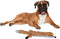 SPOT Skinneeez Extreme Quilted Fox Dog Toy, Durable, Stuffing Free, 4 Layers, 2 Squeakers, Ideal for Medium and Large