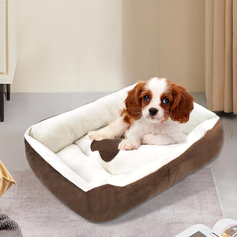 Dog Bed for Small Dogs, Washable Rectangle Cat Beds with Anti-Slip Bottom for Medium Dogs and Kittens (Beige,