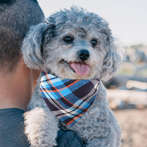 30 Pack 22.8"x15.7" Segarty Dog Bandanas, Pet Scarf Triangle Plaid Bibs Accessories Bulk for Medium Small Dogs Cats