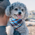 30 Pack 22.8"x15.7" Segarty Dog Bandanas, Pet Scarf Triangle Plaid Bibs Accessories Bulk for Medium Small Dogs Cats