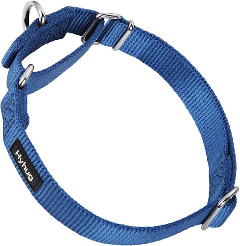 Hyhug Pets Premium Durable Nylon Anti-Escape Martingale Collar for Dogs, Comfy and Safe, Medium, Classic Blue