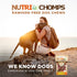 NutriChomps Dog Chews - 2.5-inch Knots, Rawhide-Free Dog Treats, 8 Count, Real Chicken Flavor