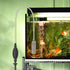 Fish Tank Cleaning Essentials, 8.5ft Aquarium Vacuum, Gravel Vacuum, and Siphon Pump for Spotless Aquarium
