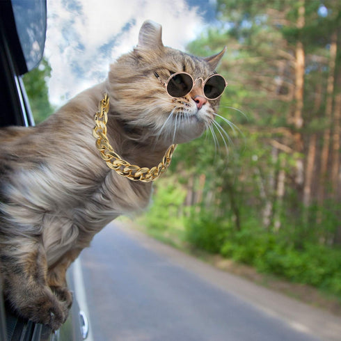 7 Pieces Sunglasses for Cats and Dogs, Gold Chain Costume, Funny Cute Retro Pet Cosplay
