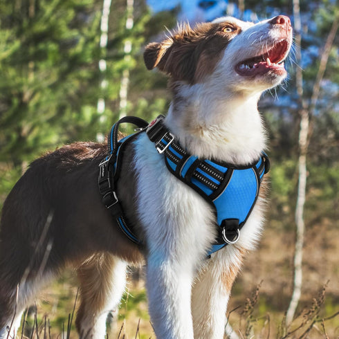 rabbitgoo Dog Harness Medium Sized, No Pull Vest Harness with 3 Buckles, Adjustable Soft Padded with Control Handle,