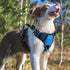 rabbitgoo Dog Harness Medium Sized, No Pull Vest Harness with 3 Buckles, Adjustable Soft Padded with Control Handle,