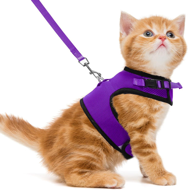 PUPTECK Soft Mesh Cat Vest Harness and Leash Set, Escape Proof Puppy Padded Pet Harnesses for Small Dogs, Purple Small