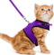 PUPTECK Soft Mesh Cat Vest Harness and Leash Set, Escape Proof Puppy Padded Pet Harnesses for Small Dogs, Purple Small
