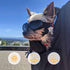 PETLESO Dog Goggles for Small Breed, Eye Protective Sunglasses for Outdoor Riding, Black