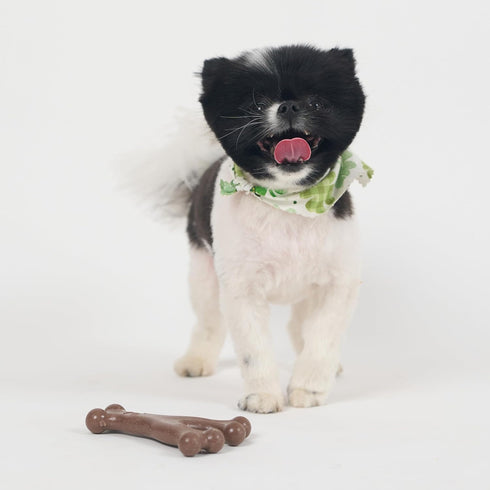 SPOT Bam-Bones Wishbone Dog Chew - Durable Bamboo Fiber Toy for Light to Moderate Chewers, 5.25in, Bacon Flavor