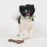SPOT Bam-Bones Wishbone Dog Chew - Durable Bamboo Fiber Toy for Light to Moderate Chewers, 5.25in, Bacon Flavor