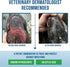 Command Medicated Dog Shampoo for Itchy Skin - Anti-Itch Relief for Allergies and Dry Skin (4 oz)
