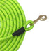 Nylon Strong Dog Rope Lead Reflective Training Dog Leash with Soft Handle 8-20 FT Long Green (Dia:0.5" 8FT)