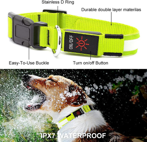 YFbrite Ultra Light Adjustable LED Dog Collar, Rechargeable Glowing in The Dark for Small, Medium, Large Dogs (Green,