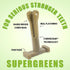 Bullibone SuperBrush: Long Lasting Dog Teeth Cleaning Toothbrush Stick - Super Greens Chew Toy for Oral Care
