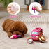 Hollypet Squeaky Dog Toy, Interactive Plush Hide and Seek Dog Toys for Small Medium Sized Dogs and Non-Aggressive