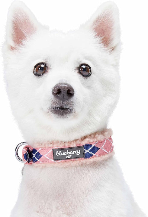 Blueberry Pet Soft & Comfy Scottish Argyle Fleece Padded Dog Collar - Pink, Neck 13-16.5", for Medium Breed