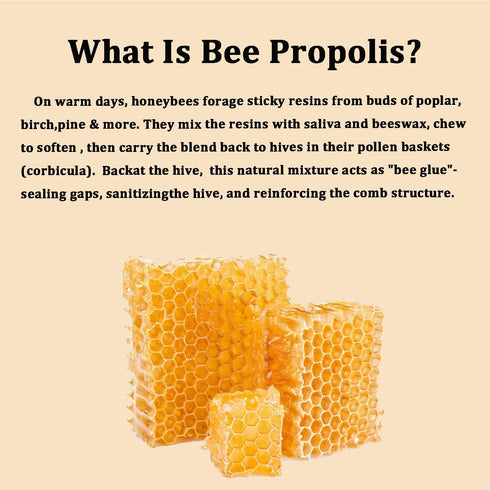 Pleasantly Warm Immune 90 Bee Propolis for Dogs & Cats, Daily System Support, Oral Care, Gum Health Supplement, Soft