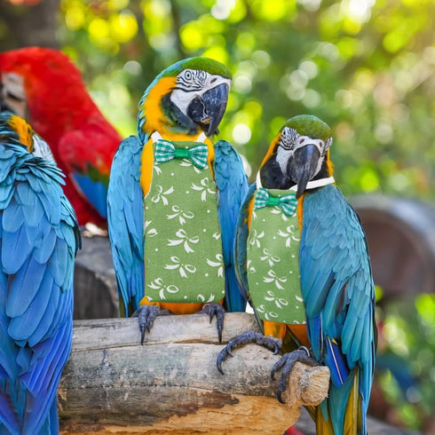 6Pcs SUPERFINDINGS Bird Diaper Reusable Parrot Nappy with Washable Waterproof Cute Urine Wet Suit Green Pink Yellow