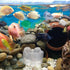 10pcs Fish Tank Planter Decor, Acrylic Plant Cup Holders for Fish Tank Supplies and Bait Feeder
