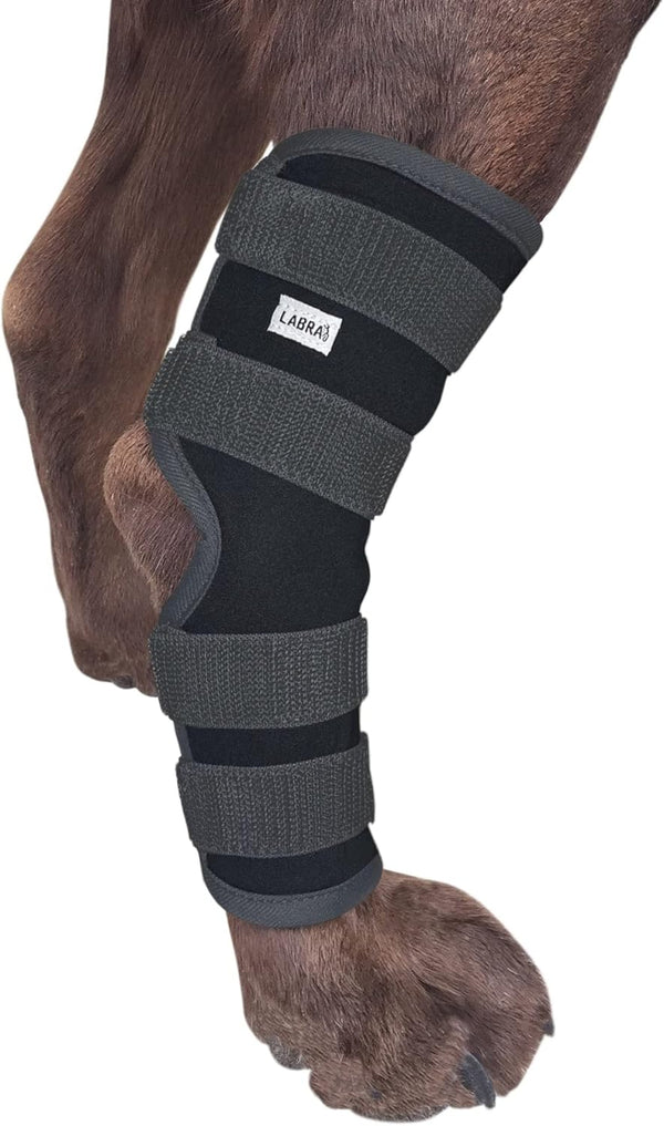 Labra Dog Extra Supportive Compression Wrap for Canine Rear Leg Hock Joint, Recovery, Protection, Ankle Brace