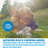 Rawhide Chips, Premium Chews, Natural Grass Fed Livestock, 3 Lbs, Improve Oral Health