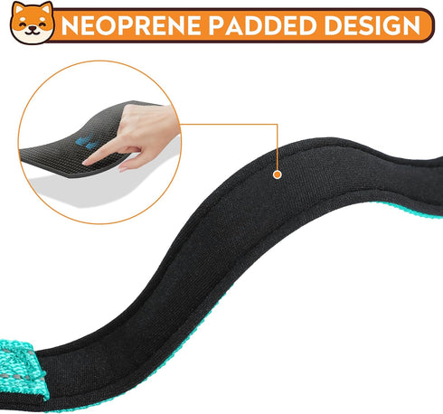 Reflective Dog Collar, Adjustable Soft Neoprene Padded Nylon Pet Collars with Buckle for Puppy and Small Dogs, Teal, XS