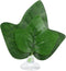 Tnfeeon Betta Spawning Grounds, Betta Fish Hammock Leaf for Resting and Breeding, Fish Tank Decoration