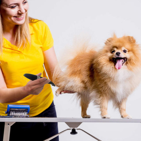 Cordless Dog Clippers for Small Dogs and Cats, Low Noise Electric Pet Trimmer, Grooming Clippers for Paws, Eyes, Ears