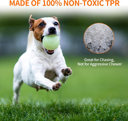 SKIPDAWG Interactive Squeaky Light Up Dog Ball | Glow in Dark, Floating Toy, Durable TPR, 2.5 Inches
