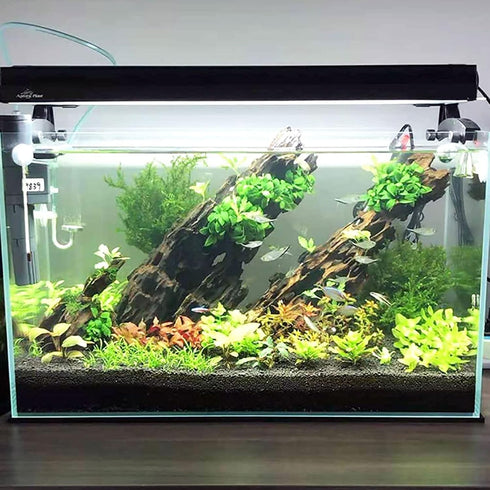 kathson Large Driftwood Natural Wood Assorted Branches, Fish Tank Driftwood Decoration for Reptiles