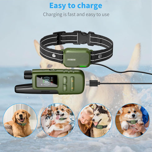 MEROM Replacement Charger for Jugbow Dog Shock Collar, 2-in-1 Magnetic Charging and USB Type C Power Cable (Cable)
