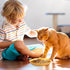 8 Pcs Cat Food Dish, 5.9 Inch Shallow Wide Flat Bowl, Whisker Friendly Colorful Dishes for Kittens