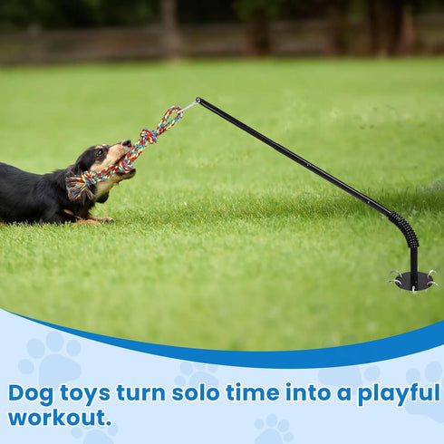 Tether Tug Outdoor Dog Toy - Interactive Tug of War Exercise Game for Yard & Park - Upgraded Metal Stake & Durable