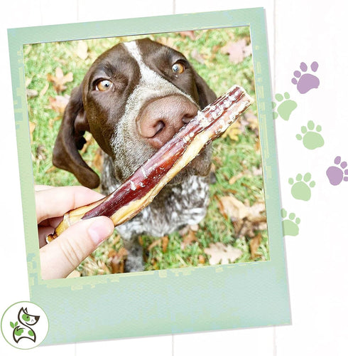 Nature Gnaws Large Bully Sticks for Dogs 5-6" (15 Count), Thick Long Lasting Natural Beef Chew Bones