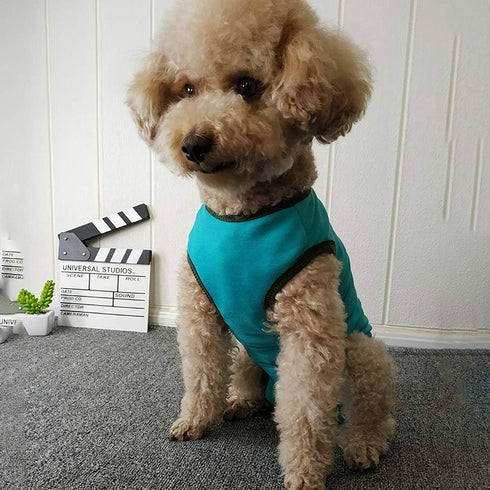 Dog’s Recovery Suit Post Surgery Shirt for Puppy, Wound Protective Clothes for Little Animals (Blue-xs)