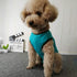 Dog’s Recovery Suit Post Surgery Shirt for Puppy, Wound Protective Clothes for Little Animals (Blue-xs)