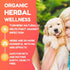 PetGlow Natural Dog Ear Cleaner with Turmeric, Infection Therapy for Yeast, Eliminates Pain, Odor, Wax & Chronic Itch