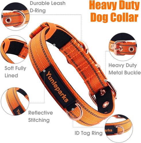 Neoprene Padded Dog Collar, Heavy Duty Nylon Collar with Metal Buckle for Small Medium Large Dogs (Small, Orange)