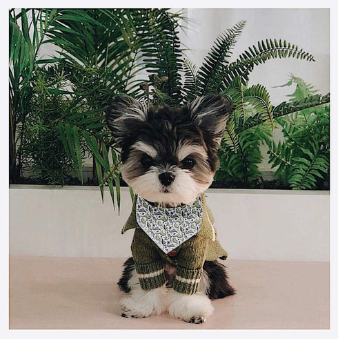 ARING PET Dinosaur Dog Bandanas - Summer Kerchief Triangle Bibs Scarf for Puppy Small Medium Large Dogs, Size S