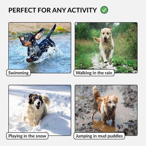 CollarDirect Waterproof Dog Collar - Adjustable Silicone Plastic Collar for Large, Medium, Small Dogs, Mint Green