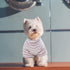 Dogs PJS Clothes for Small Dogs - Girl Puppy Pajamas Long Sleeved Onsie Warm Coats Jumpers Outfits